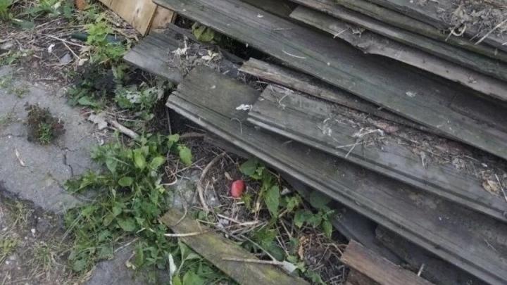 В Саратове задержали ранее судимого закладчика с партией мефедрона В Саратове задержали ранее судимого закладчика с партией мефедрона