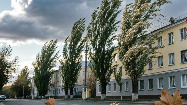 В Саратовской области прохладно и облачно