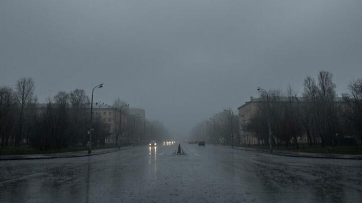 В Саратовской области будет пасмурно и пройдет дождь