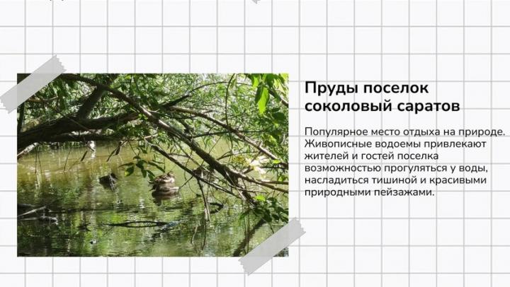 Саратовцам рассказали, где погулять в осенний выходной