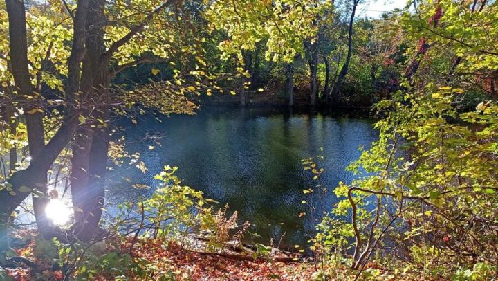 В Саратове ночью заморозки, днем до +16  градусов