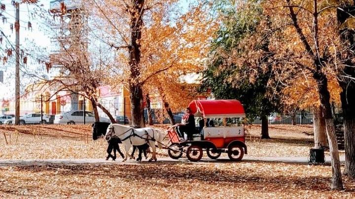 В Саратове до 20 градусов тепла В Саратове до 20 градусов тепла