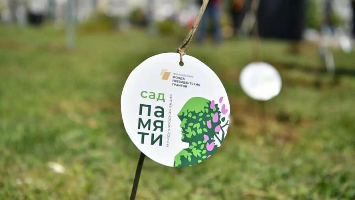 Саратовская область второй год подряд стала лидером по высадке деревьев в рамках акции «Сад памяти» Саратовская область второй год подряд стала лидером по высадке деревьев в рамках акции «Сад памяти»