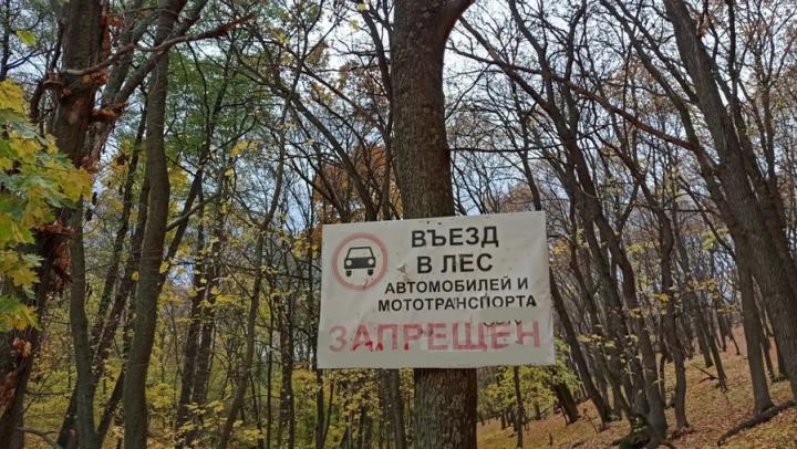 В лесах Саратовской области ограничили пребывание граждан из-за пожарной опасности В лесах Саратовской области ограничили пребывание граждан из-за пожарной опасности
