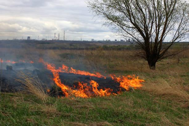 В мае в Саратовской области случилось 132 ландшафтных пожара