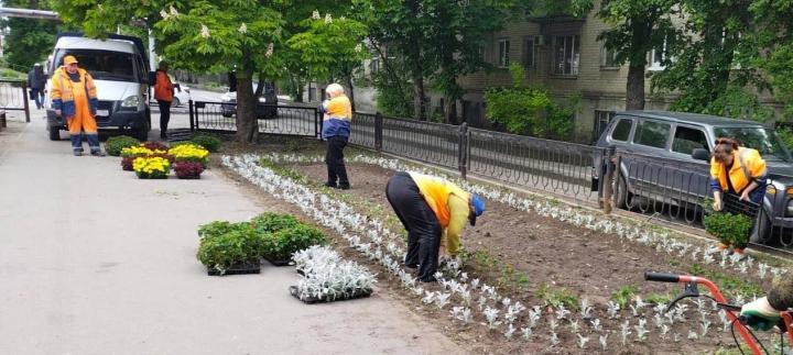 В Саратове высадили более 70 тысяч цветов