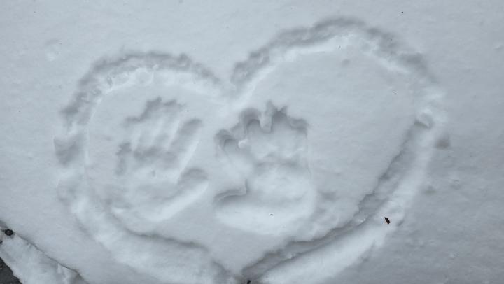 Планы на год: саратовцы рассказали, чему уделят больше времени в 2025-м