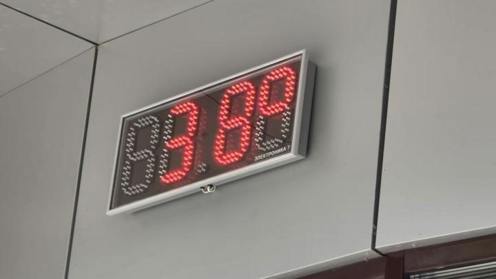 Жара до +39 и прогретая Волга: саратовцев ждут знойные выходные