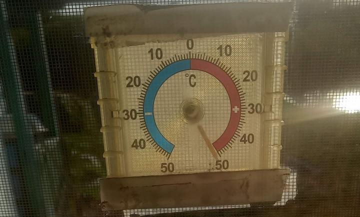 Больше 50 градусов: саратовцы фиксируют экстремальную жару