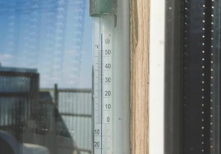 Жара зашкаливает: жители Саратовской области фиксируют +60