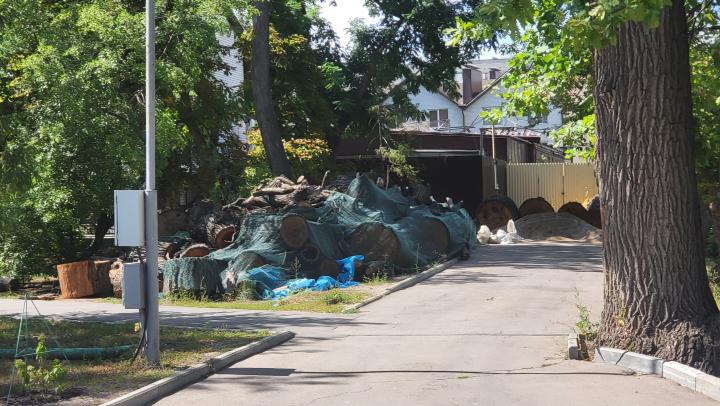 В саратовском горпарке срубят более 200 деревьев