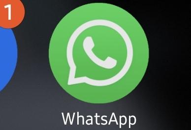 В Саратове не будут блокировать WhatsApp*: «Это нелепый вброс» 