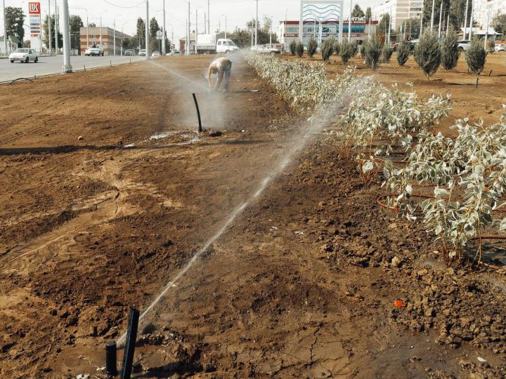 Автополив и тысячи растений: на Славянской площади проведут озеленение