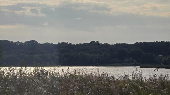 Саратовские лесхозы получили беспилотники для борьбы с лесными пожарами