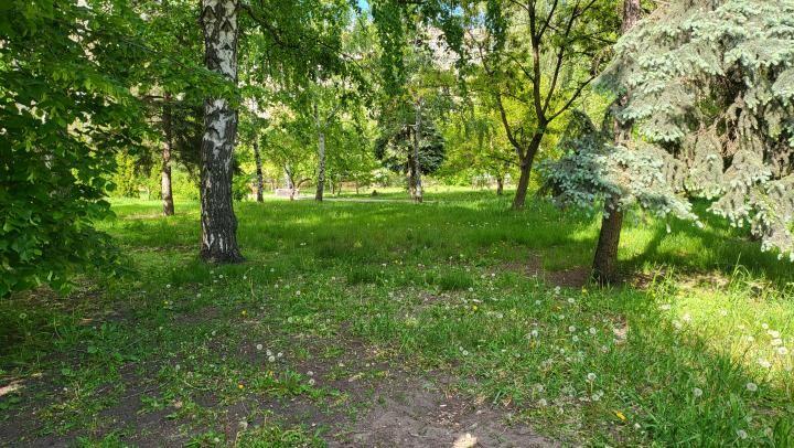 Саратовцам напомнили правила поведения для посетителей парков