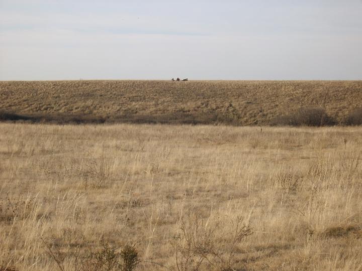 В Саратовской области за неделю выявили пять нарушений правил охоты