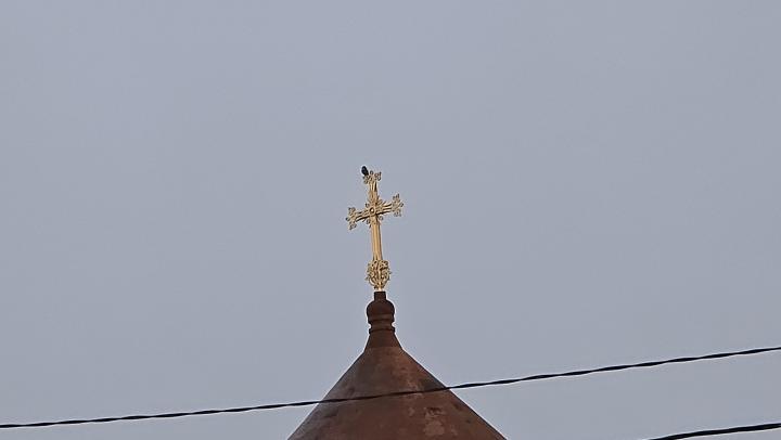 Скончался известный саратовский экономист и общественный деятель Владимир Титаев