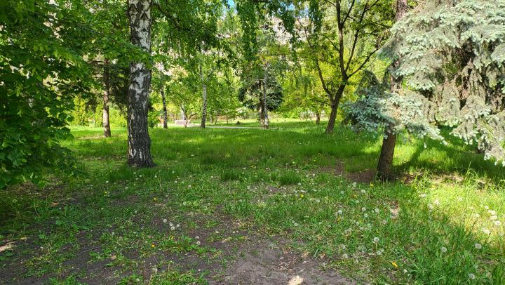 Кумысная поляна в Саратове станет больше еще на 200 гектаров