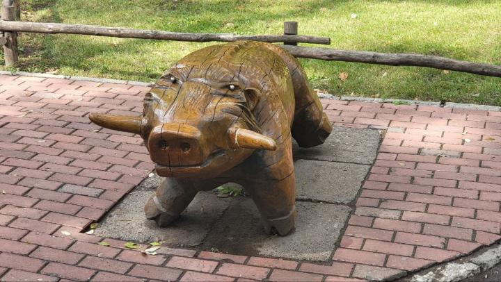 Свет вернется в Городской парк: до конца года установят временную систему освещения 