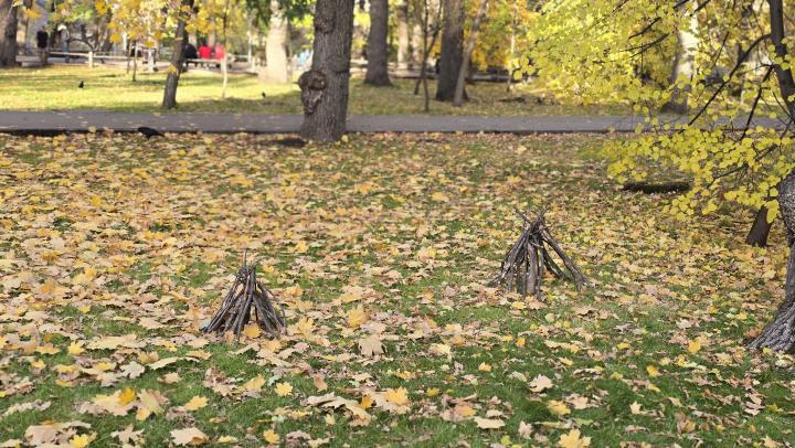 Осенняя погода с туманами: в Саратовской области столбики термометров опустятся до +2°C 