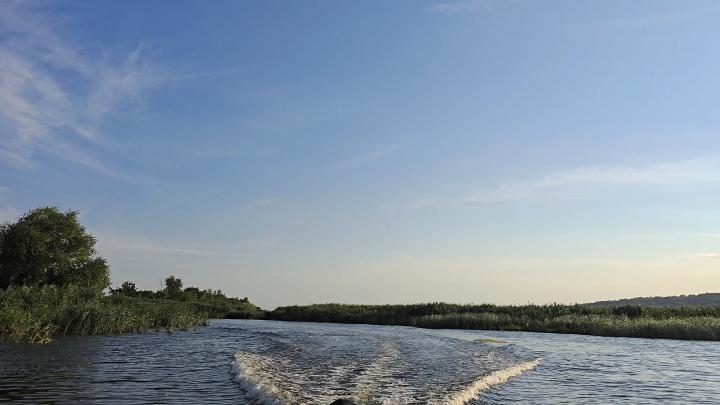 В Вольском районе мужчина выстрелил в рыбака из незарегистрированного ружья