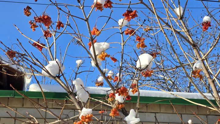 Саратовскую область ждут резкие температурные качели