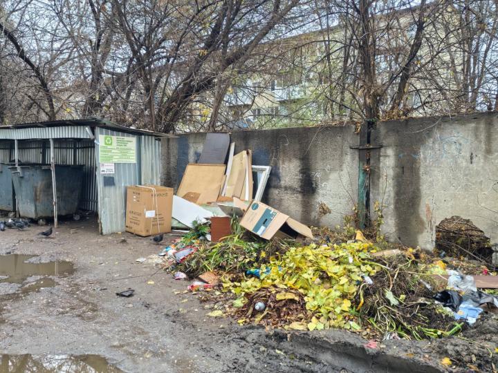 Контейнерные площадки Саратова тонут в мусоре из-за бездействия «Ситиматик»
