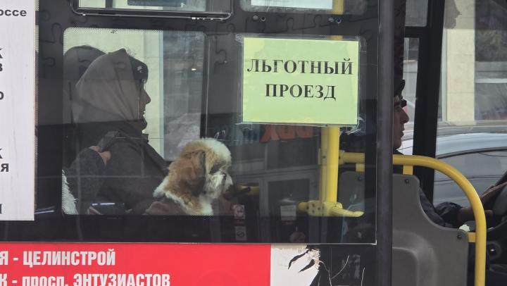 В саратовских автобусах выявили 38 «зайцев»