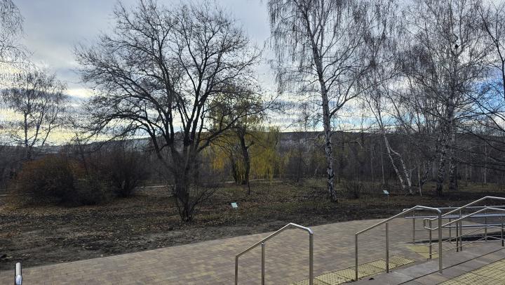 Пасмурное утро и похолодание вечером: прогноз для Саратова на сегодня