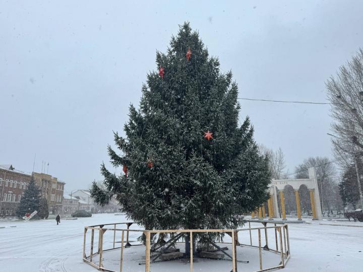 Живая новогодняя ель из двора ветерана благоустройства украсила центральную площадь Энгельса