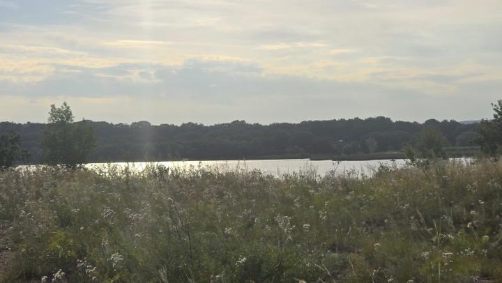 Клещи уже кусают массово: сезон стартовал в марте - как защититься жителям Саратова  