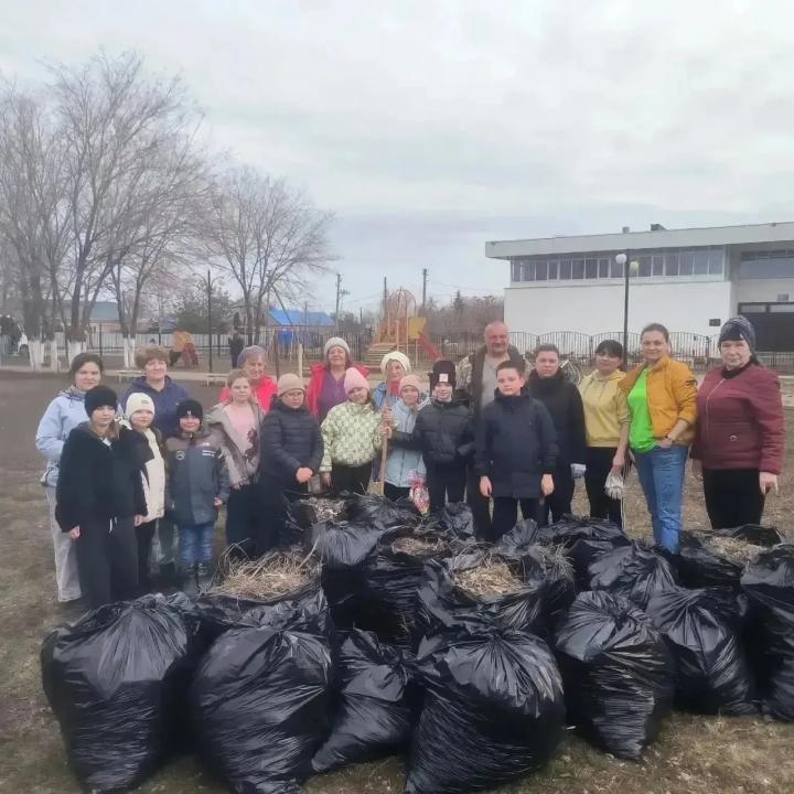 В Энгельсском районе более 1500 человек вышли на масштабный субботник