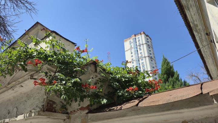 Теплая погода сохранится в Саратове в начале сентября