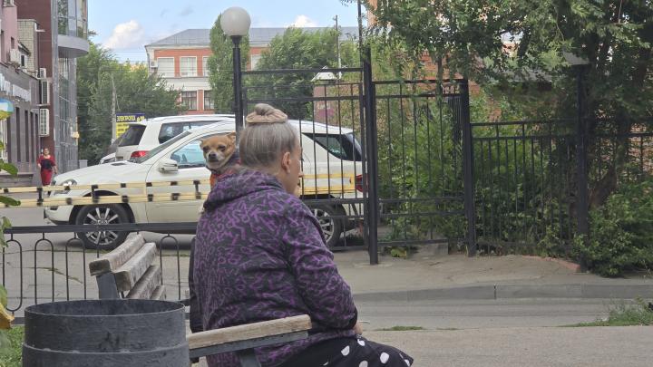 В России хотят изменить порядок индексации страховых пенсий в 2027 году В России хотят изменить порядок индексации страховых пенсий в 2027 году
