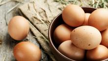 На ярмарках Саратова увеличат продажу яиц и сахара