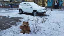 В Саратовской области падают продажи новых автомобилей