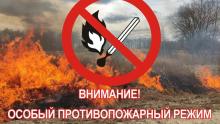 В Саратовской области введен особый противопожарный режим