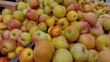 Яблоки и помидоры подорожали, лук подешевел в Саратовской области