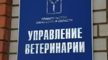 Ветеринары нашли в Краснопартизанском районе почти три десятка незарегистрированных животных