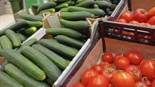Огурцы и помидоры продолжают расти в цене в Саратовской области