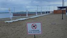 В Саратове обновили список мест, где нельзя выгуливать собак