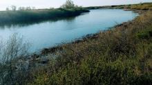 Трагедия на воде в Саратовской области: купание с братом закончилось гибелью