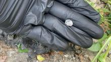 В Саратове задержали сбытчицу героина