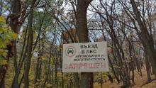В лесах Саратовской области ограничили пребывание граждан из-за пожарной опасности