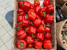 В Саратовской области собрали первую тысячу тонн тепличных овощей урожая-2026