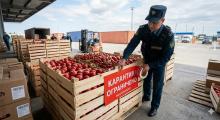 Армянские овощи и ягоды под запретом: Россельхознадзор с 30 мая закрывает границу для томатов и клубники