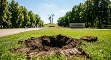 Обобрали Парк Победы: у памятника Марии Лиманской в Саратове выкопали кусты роз и можжевельник