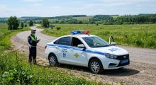 Семейная драма на лугу: под Балашовом выгул коров закончился угрозой убийством